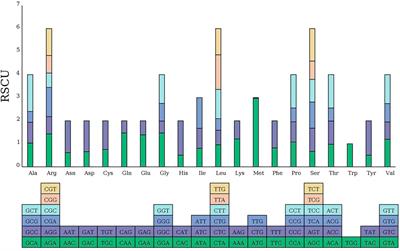 Mitochondrial genome characteristics and phylogenetic analysis of the medicinal and edible plant Mesona chinensis Benth